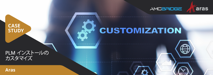 PLM インストールのカスタマイズ